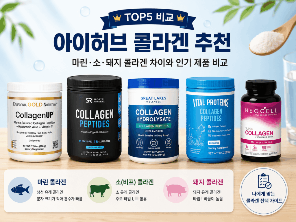 아이허브 콜라겐 추천 제품과 마린·소·돼지 콜라겐 차이를 설명한 인포그래픽
