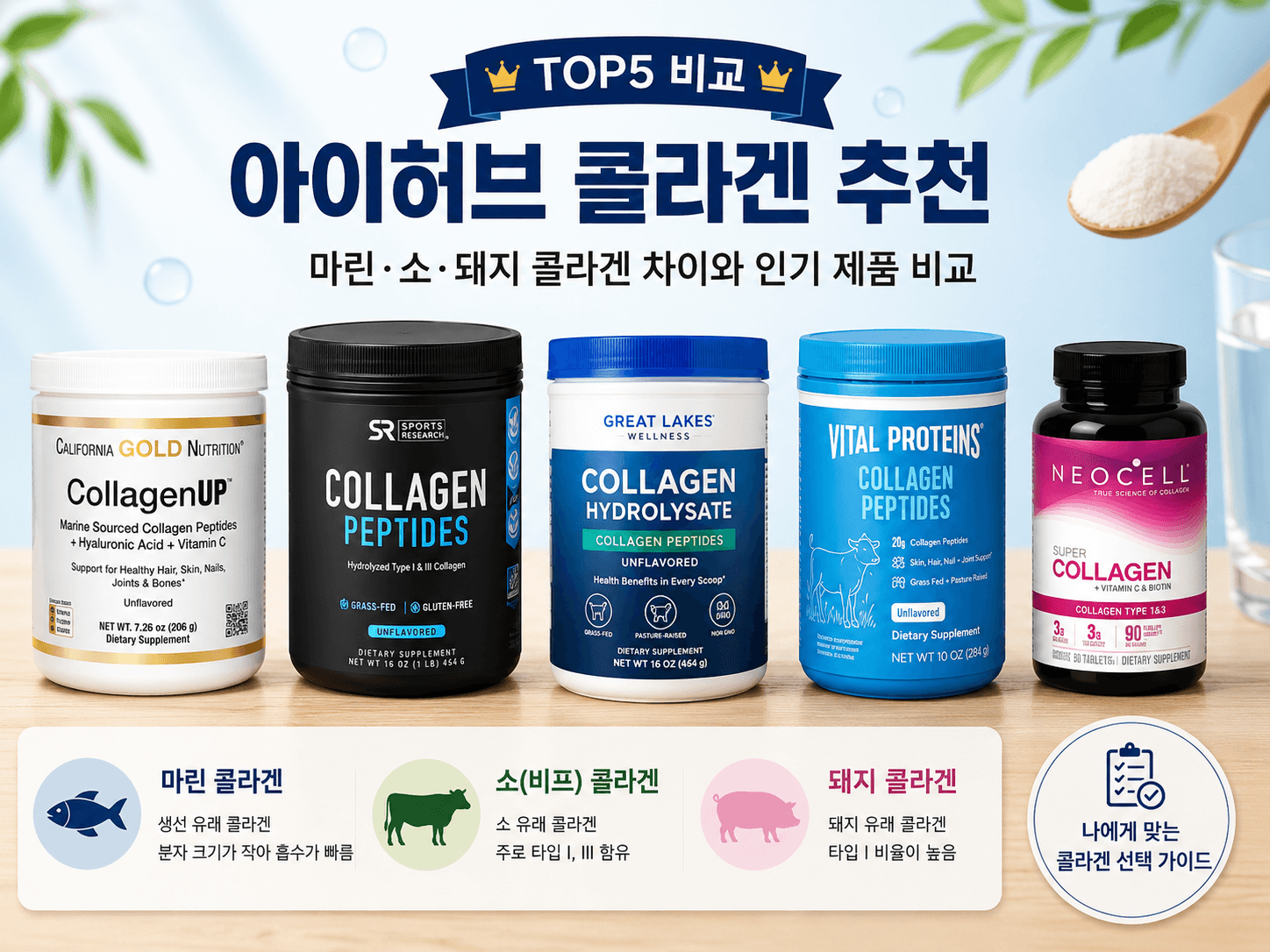 아이허브 콜라겐 추천 제품과 마린·소·돼지 콜라겐 차이를 설명한 인포그래픽