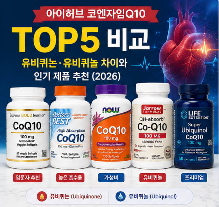 아이허브 코엔자임Q10 추천 제품과 유비퀴논·유비퀴놀 차이를 설명한 인포그래픽